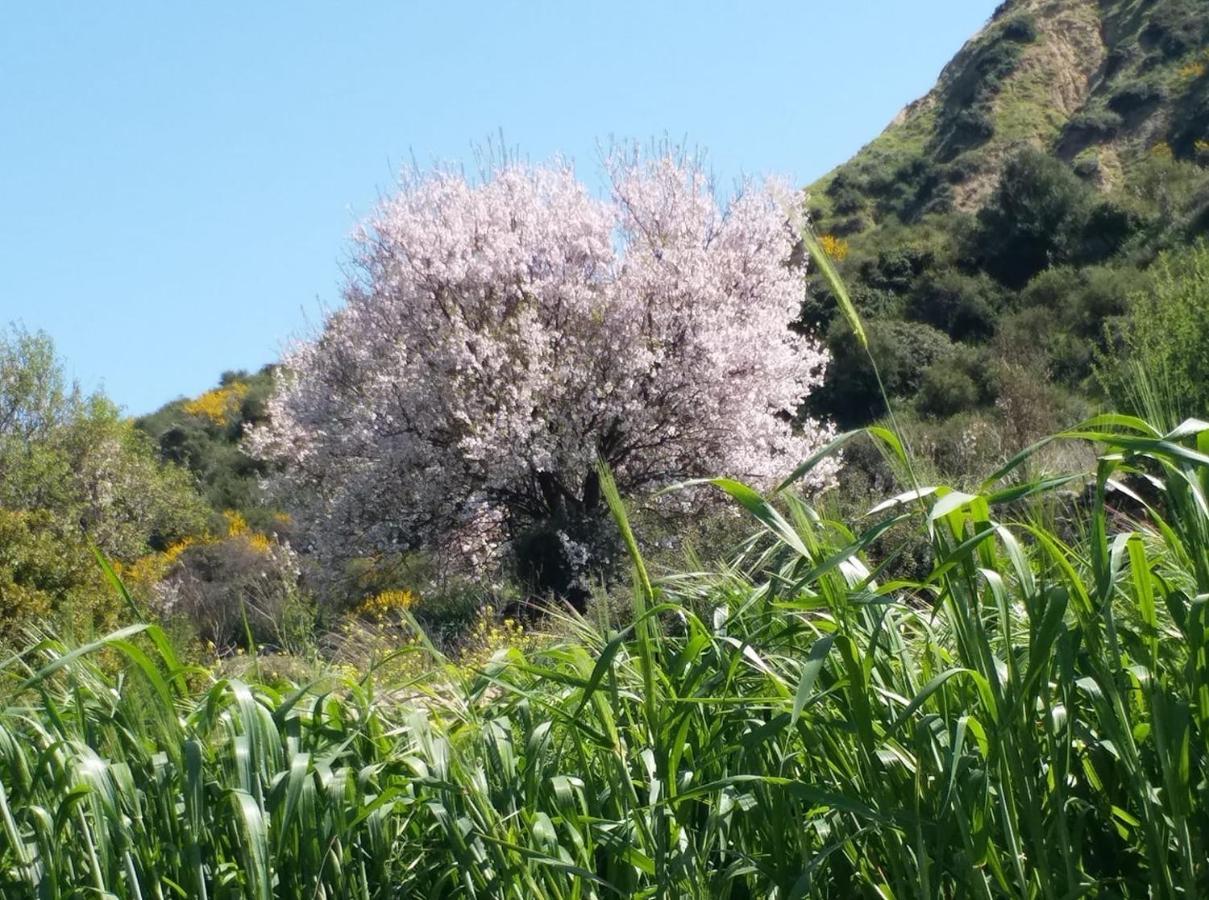 Maria Villa Pissouri Esterno foto